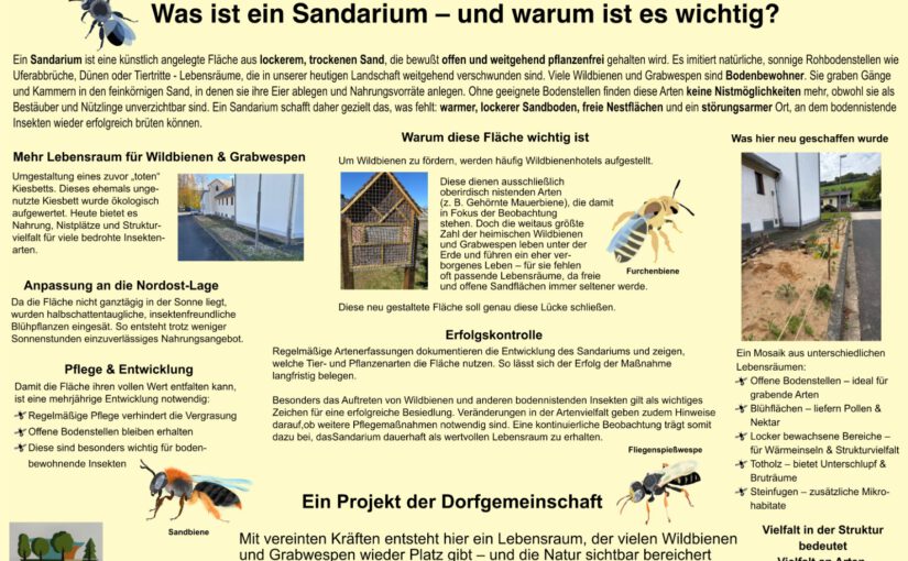 Sandarium 2026